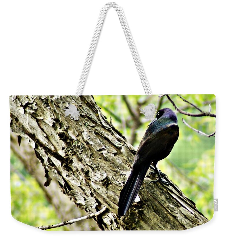 Grackle Weekender Tote Bag featuring the photograph Grackle 1 by Joe Faherty