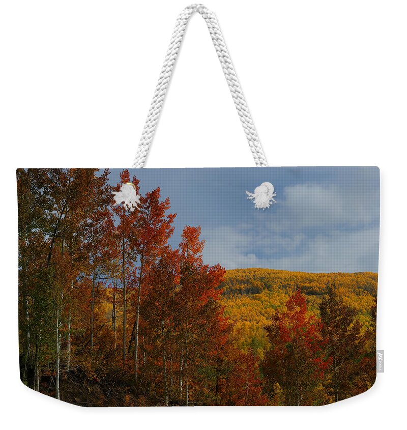 Fall Colors Weekender Tote Bag featuring the photograph Grand Mesa by Ernest Echols