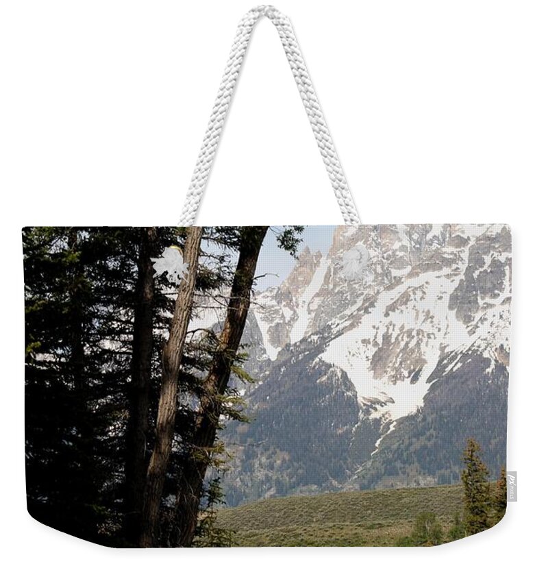 Grand Tetons Weekender Tote Bag featuring the photograph Grand Tetons Vertical by Living Color Photography Lorraine Lynch