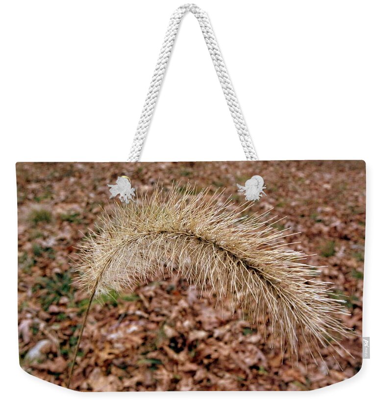 Grassy Weekender Tote Bag featuring the photograph Grass Fuzzy by Kim Galluzzo Wozniak