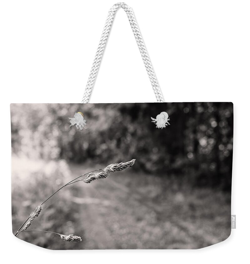 B&w Weekender Tote Bag featuring the photograph Grass Over Dirt Road by Lori Coleman