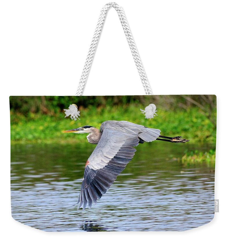Great Weekender Tote Bag featuring the photograph Great Blue Heron Inflight by Bill Dodsworth