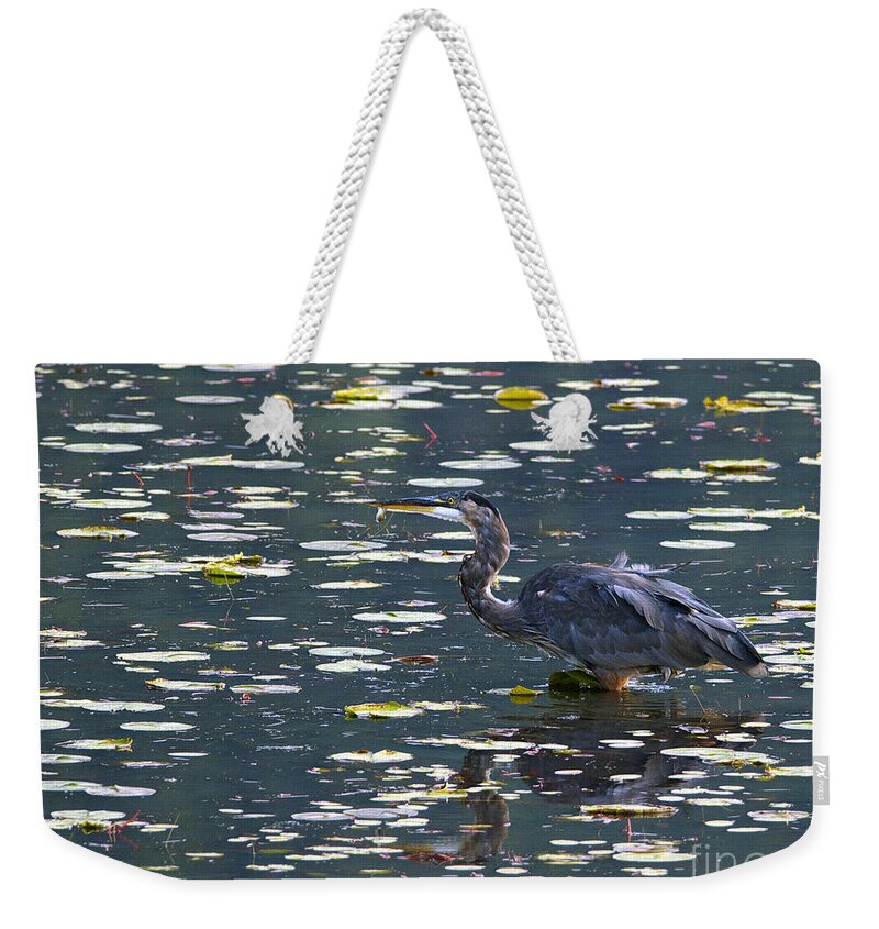Great Blue Heron Weekender Tote Bag featuring the photograph Great Blue Heron with Snack by Sharon Talson
