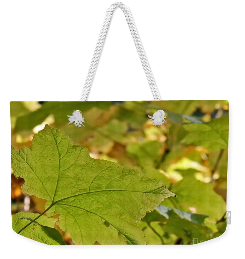 Leaves Weekender Tote Bag featuring the photograph Green Leaves by Leone Lund