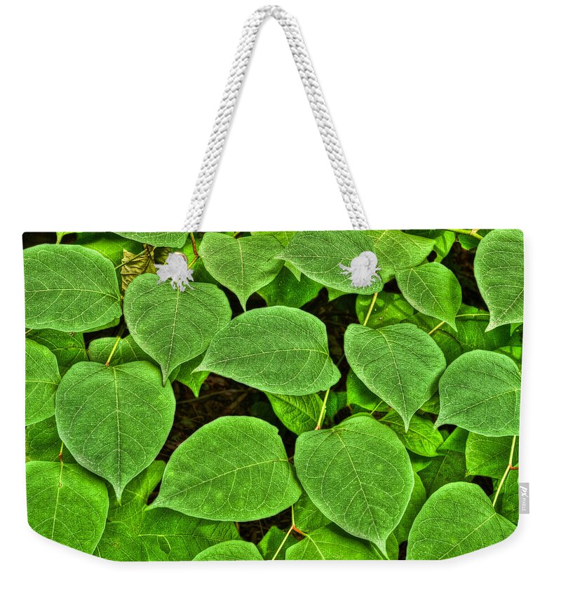 Photography Weekender Tote Bag featuring the photograph Green by Paul Wear