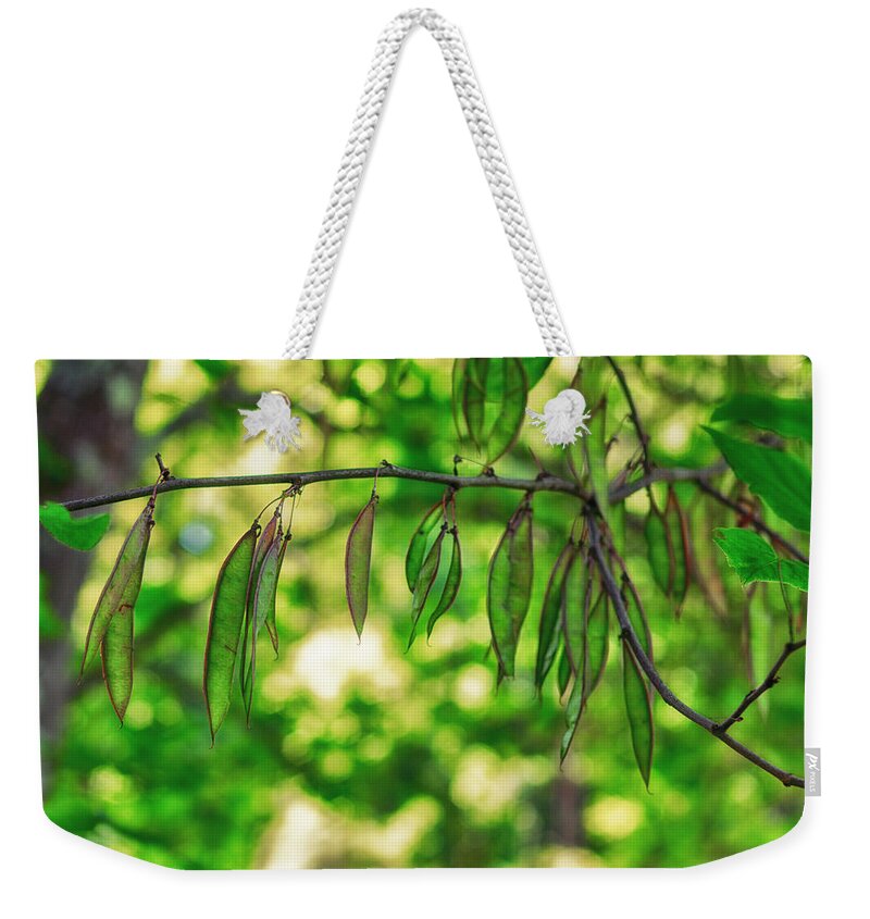 K-r Weekender Tote Bag featuring the photograph Green Redbud Seed Pods by Lori Coleman