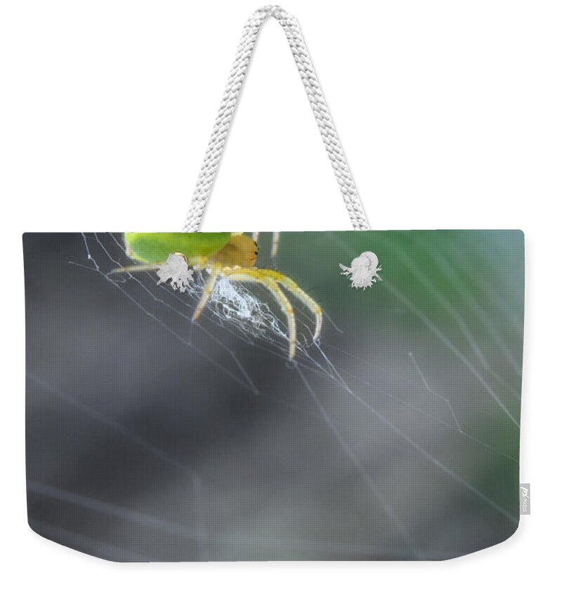 Yhun Suarez Weekender Tote Bag featuring the photograph Green Spider 1.0 by Yhun Suarez