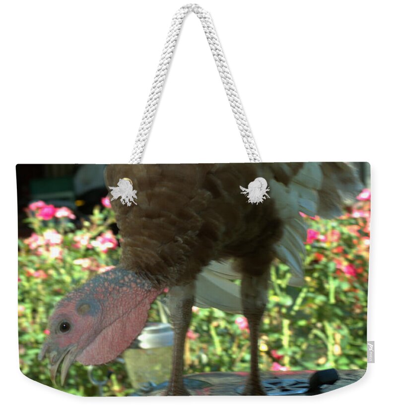 Bird Weekender Tote Bag featuring the photograph Grill Turkey Anyone Redneck Style by Donna Brown