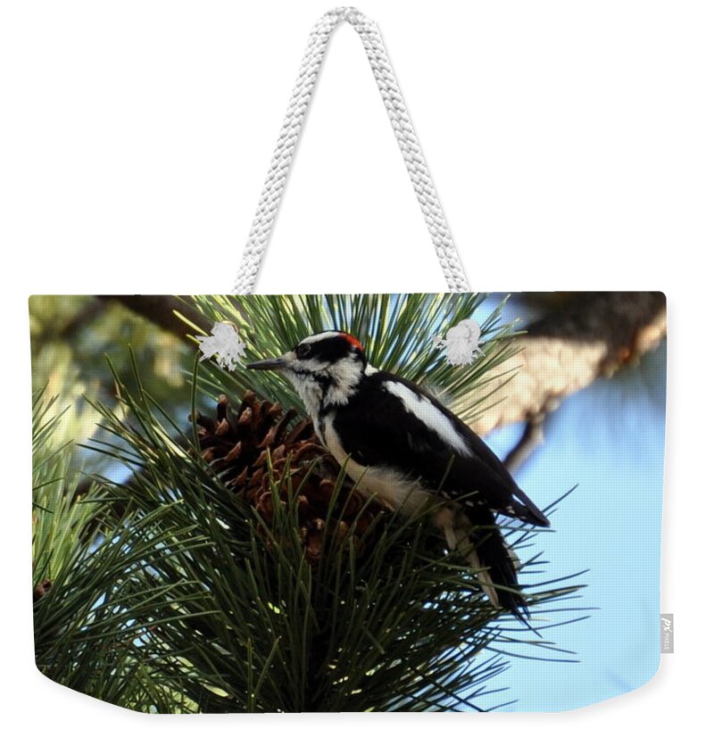 Woodpecker Weekender Tote Bag featuring the photograph Hairy Woodpecker on Pine Cone by Dorrene BrownButterfield