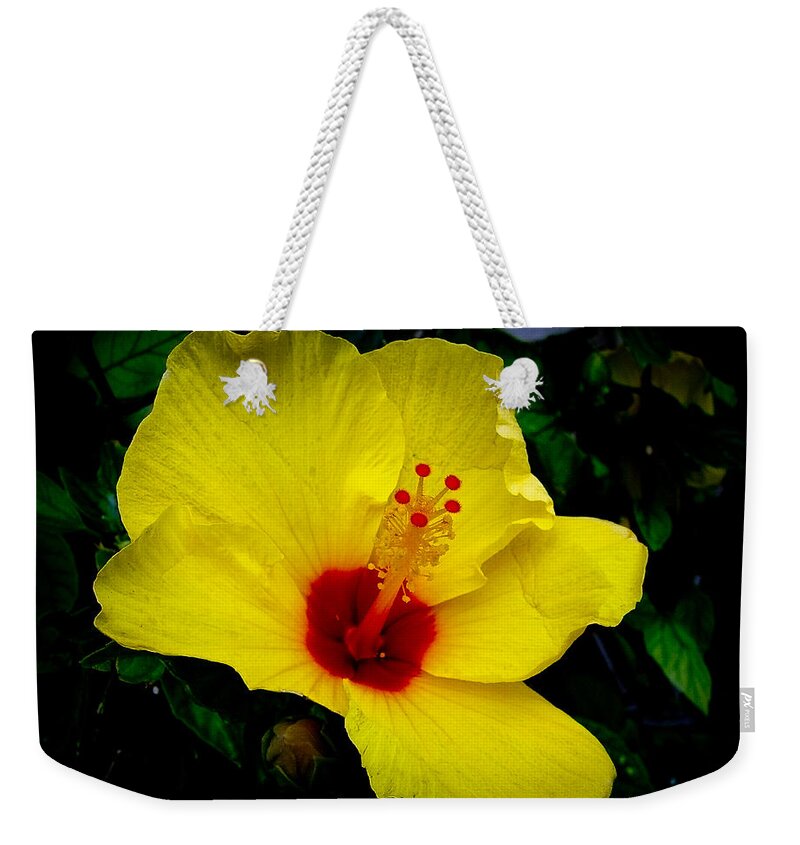 Hibiscus Weekender Tote Bag featuring the photograph Hawaiian Yellow Hibiscus by Athena Mckinzie