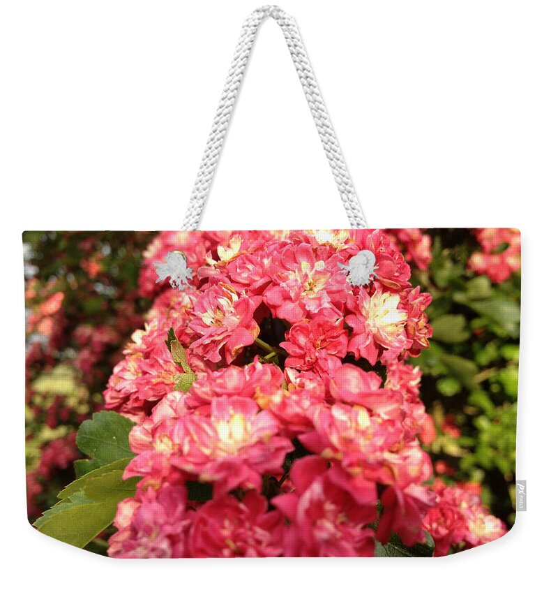 Hawthorne Weekender Tote Bag featuring the photograph Hawthorn Flowers by Chriss Pagani