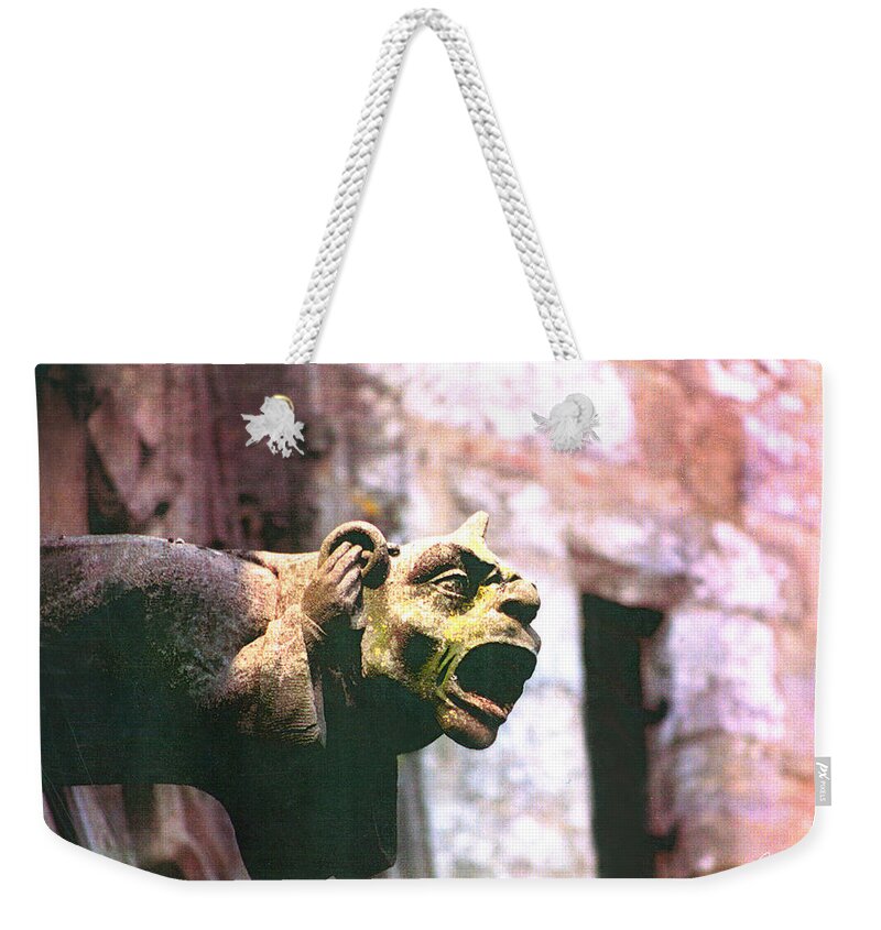 Gargoyle Weekender Tote Bag featuring the photograph Hear No Evil by Diana Haronis