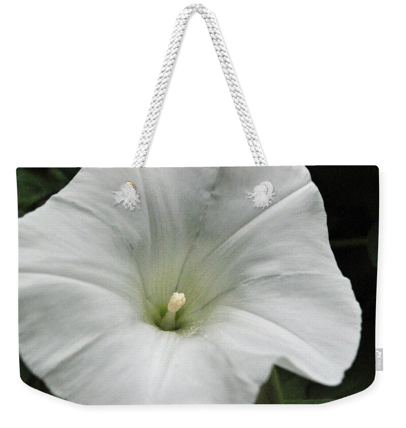 Floral Weekender Tote Bag featuring the photograph Hedge Morning Glory by Tikvah's Hope
