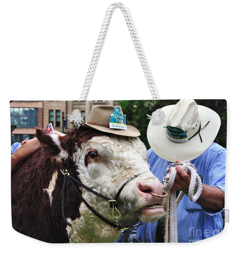 Hereford Bull In Hyde Park Weekender Tote Bag featuring the photograph Hereford Bull with Akubra Hat in Hyde Park by Kaye Menner