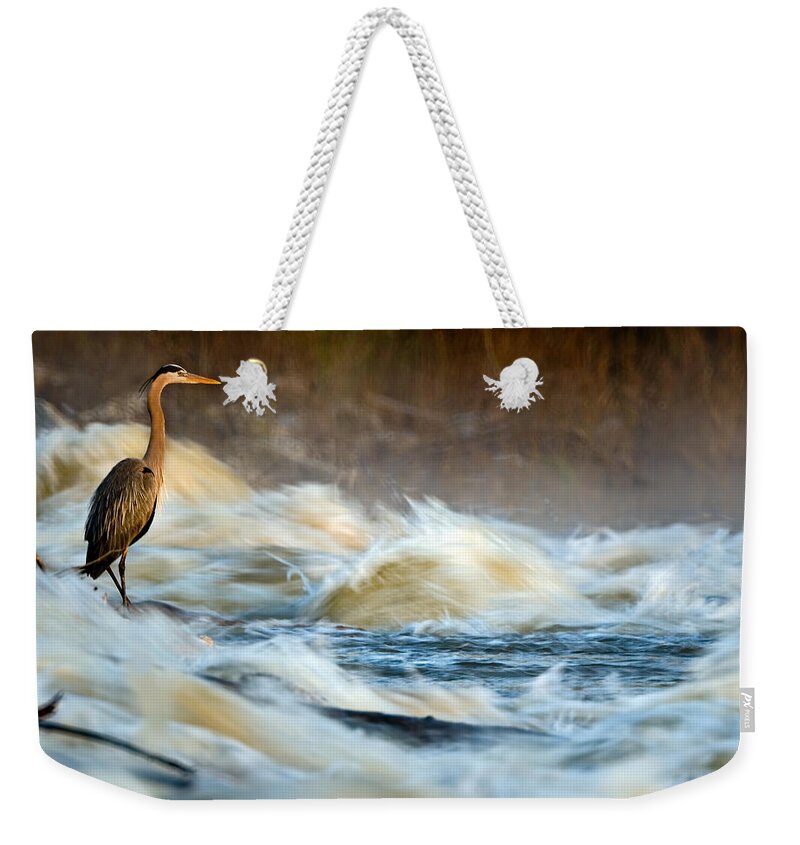 2007 Weekender Tote Bag featuring the photograph Heron in Centaur Shute by Robert Charity