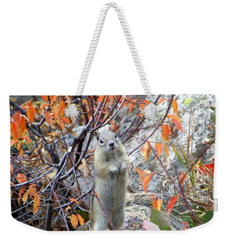Ground Squirrel Weekender Tote Bag featuring the photograph Hey There by Dorrene BrownButterfield