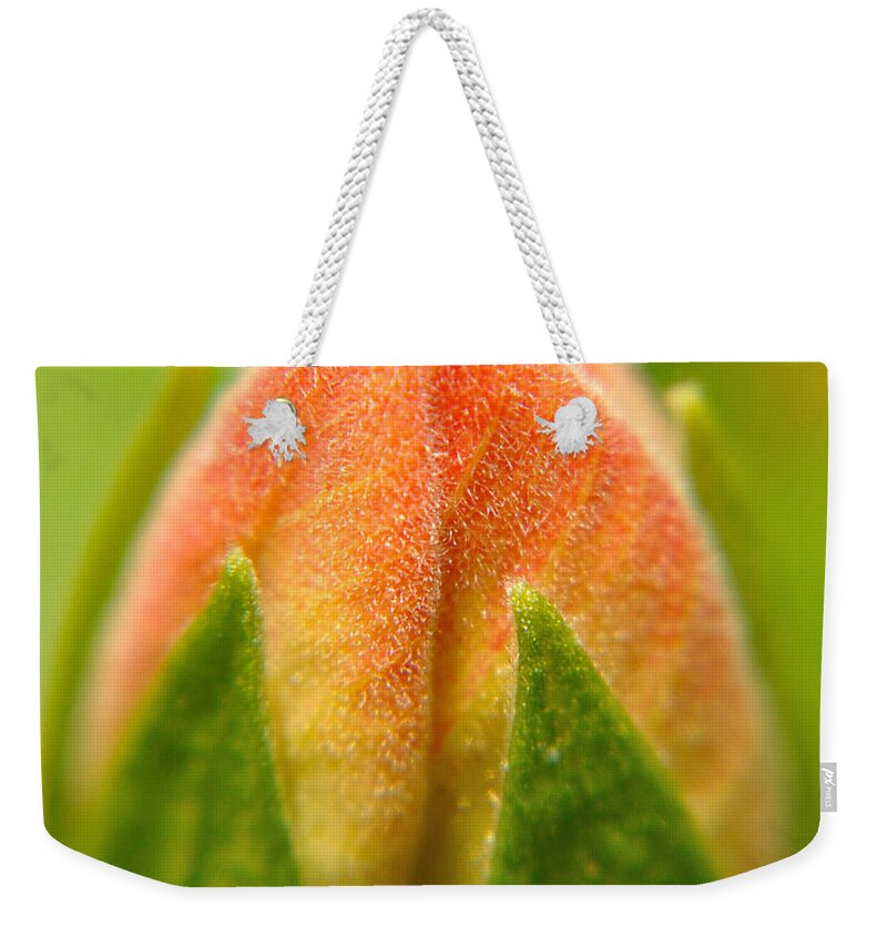 Flower Weekender Tote Bag featuring the photograph Hibiscus Bud by Susan Cliett