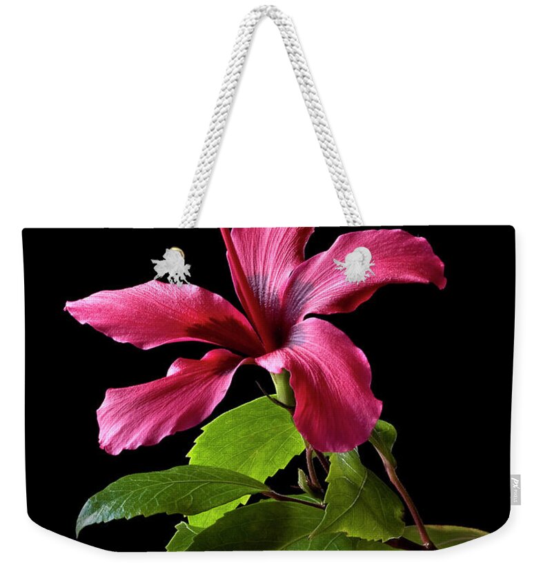 Flower Weekender Tote Bag featuring the photograph Hibiscus by Endre Balogh