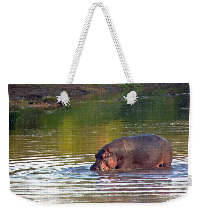 Kenya Weekender Tote Bag featuring the photograph Hippopotamus in Mara River by Tony Murtagh