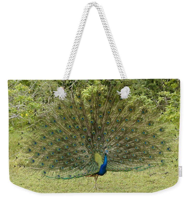 Peacock Weekender Tote Bag featuring the photograph His Royal Majesty by Michele Burgess