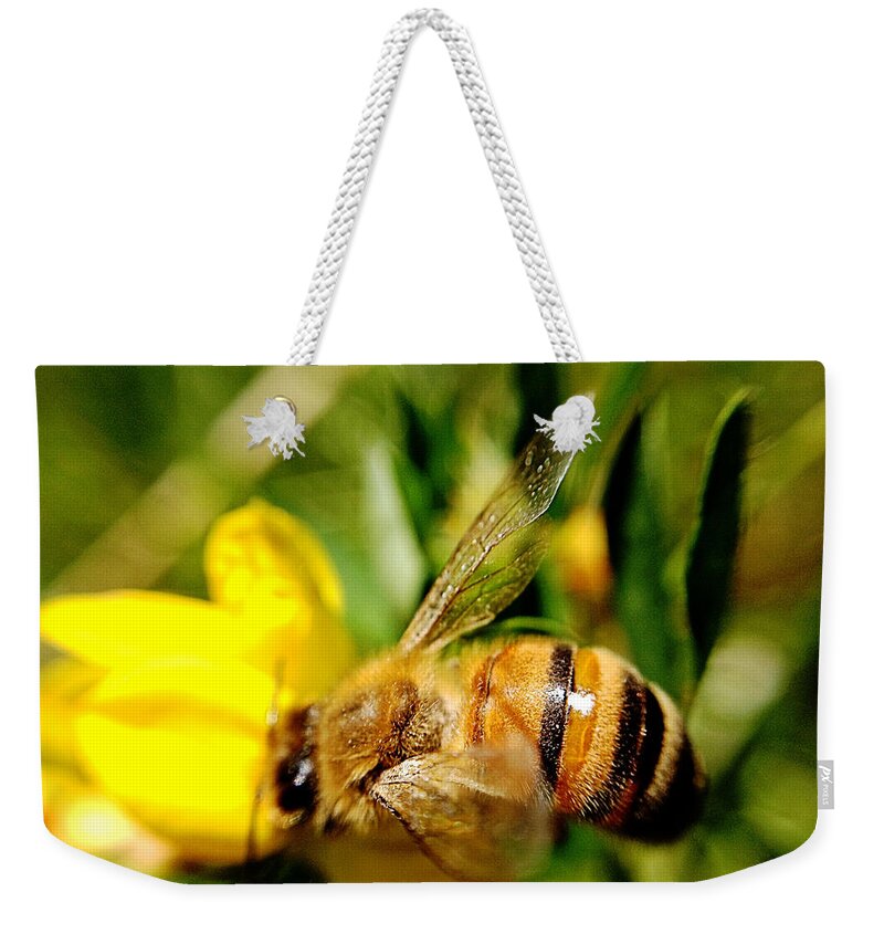 Honey Bee Weekender Tote Bag featuring the photograph Honey Bee by Chriss Pagani