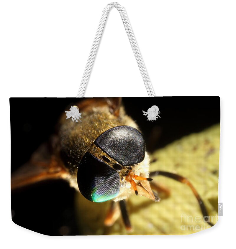 Horse Fly Weekender Tote Bag featuring the photograph Horse Fly by Ted Kinsman