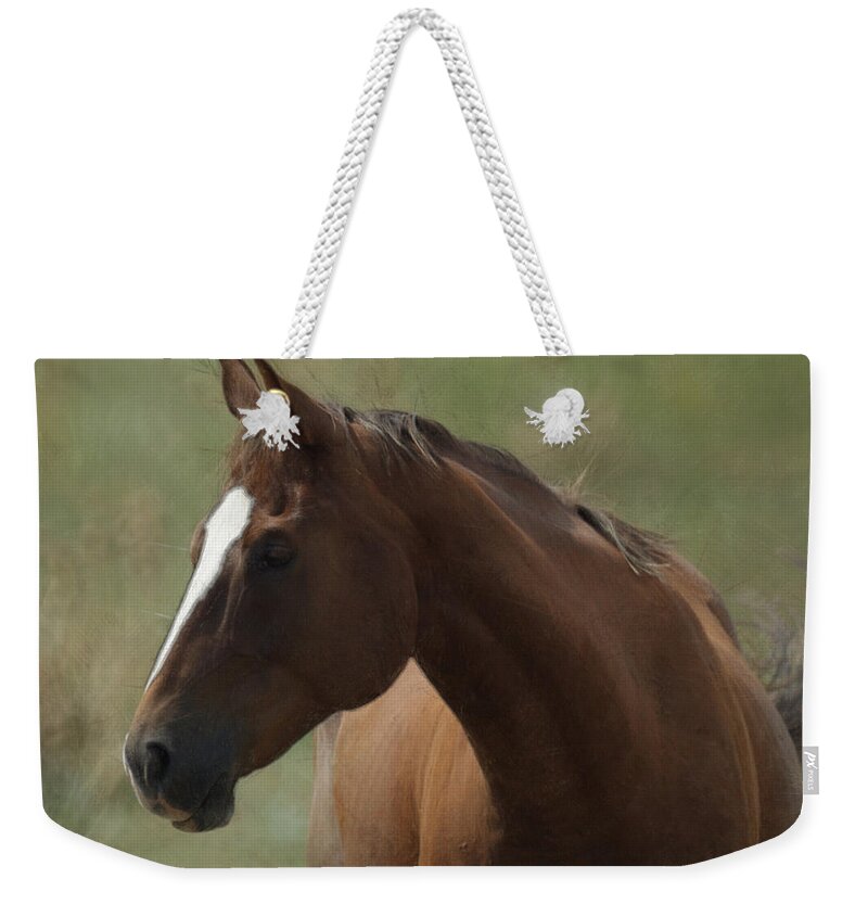 Horse Weekender Tote Bag featuring the digital art Horse Painterly by Ernest Echols