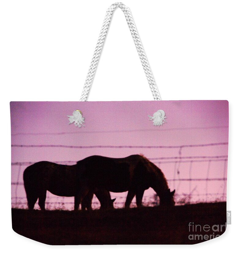 Horses Weekender Tote Bag featuring the photograph Horses Grazing At Dawn by Jeff Swan