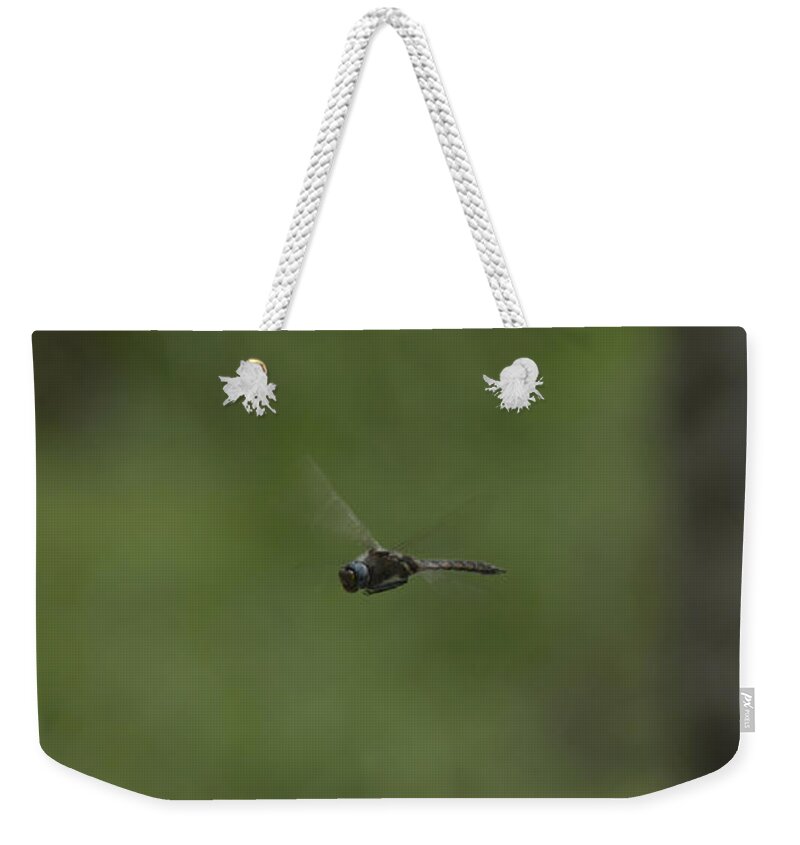 Insect Weekender Tote Bag featuring the photograph Hovering by Donna Brown