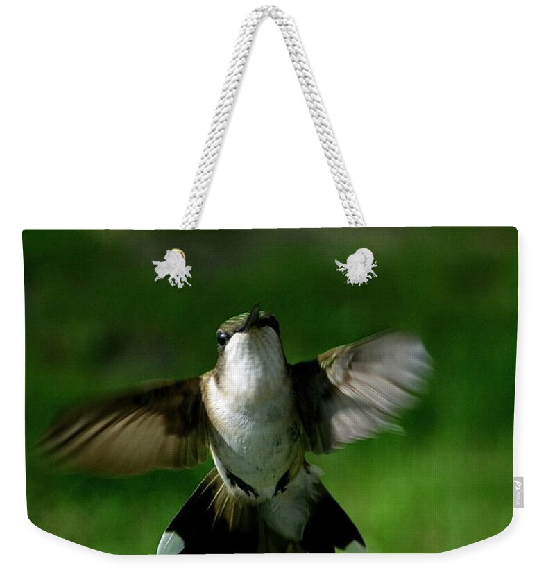 Color Photography Weekender Tote Bag featuring the photograph Hovering Hummingbird by Sue Stefanowicz