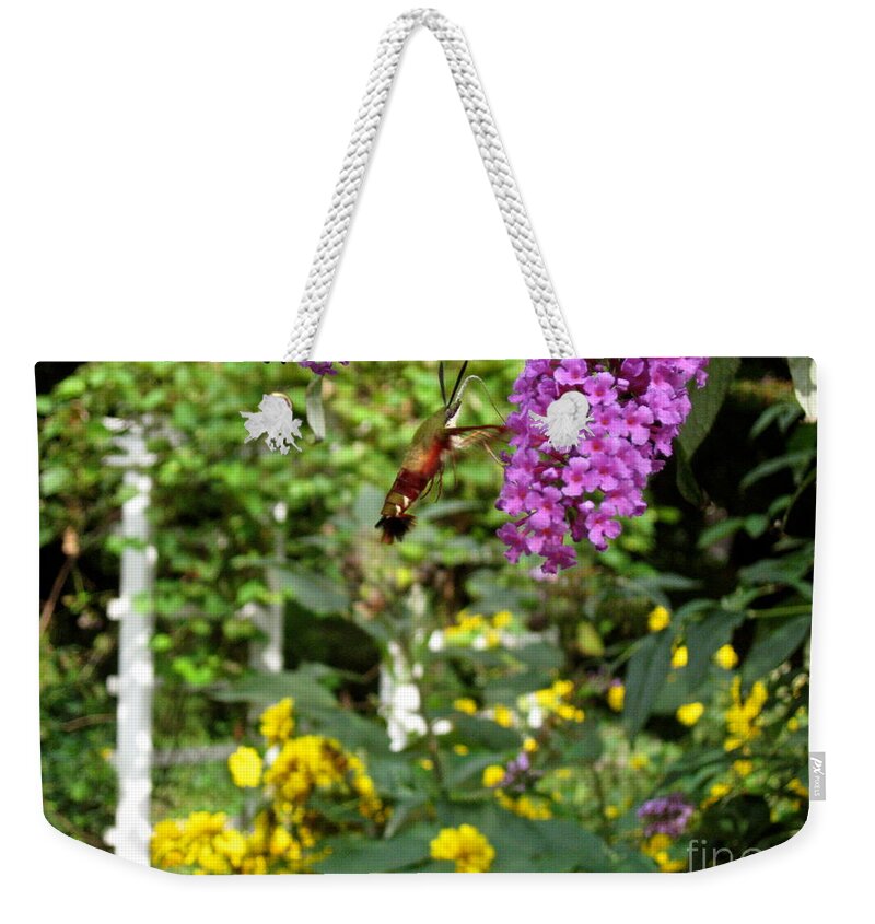 Hummingbird Moth Weekender Tote Bag featuring the photograph Hummingbird Moth in Flight by Nancy Patterson