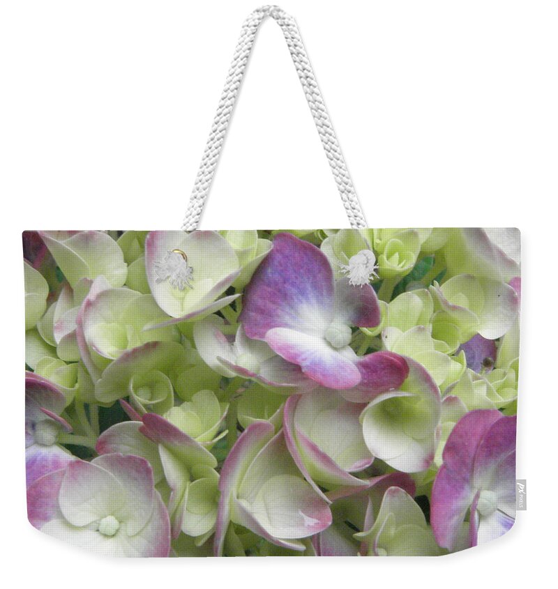 Pedals Weekender Tote Bag featuring the photograph Hydrangea Pedals Galore by Kim Galluzzo Wozniak