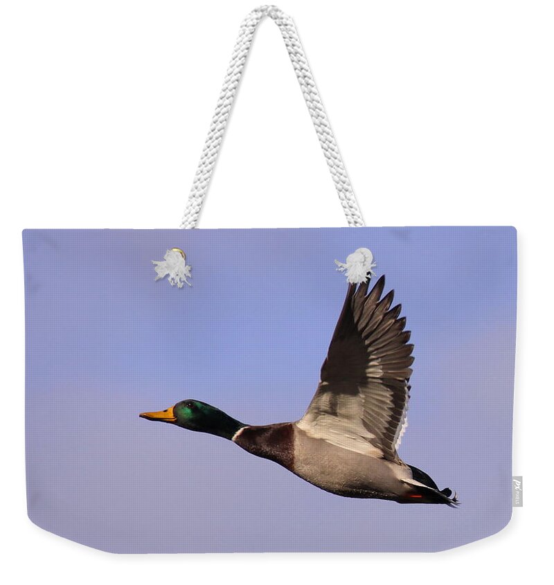  Weekender Tote Bag featuring the photograph I Can Fly by Travis Truelove