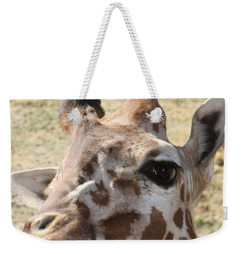 Giraffe Weekender Tote Bag featuring the photograph I see you by Kim Galluzzo Wozniak