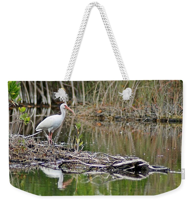 Ibis Weekender Tote Bag featuring the photograph Ibis 2 by Joe Faherty