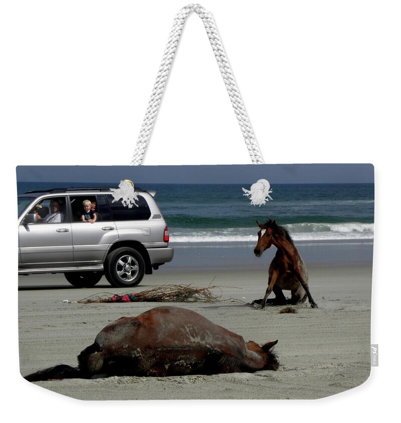 Wild Weekender Tote Bag featuring the photograph I'm going to play dead while you get up by Kim Galluzzo