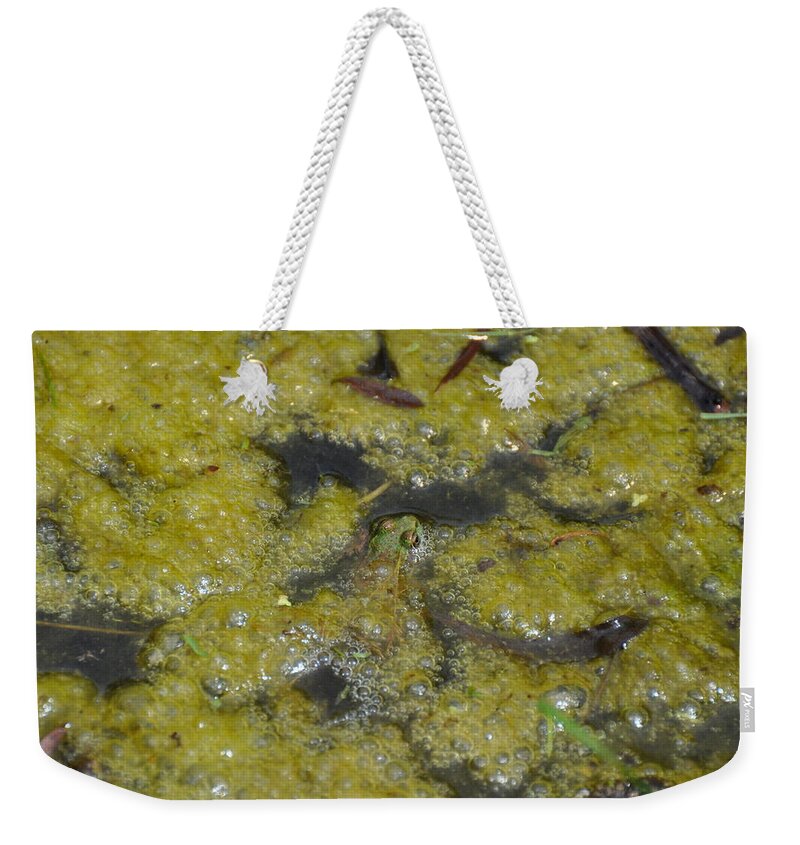 Frog Weekender Tote Bag featuring the photograph In His Element by Rich Bodane