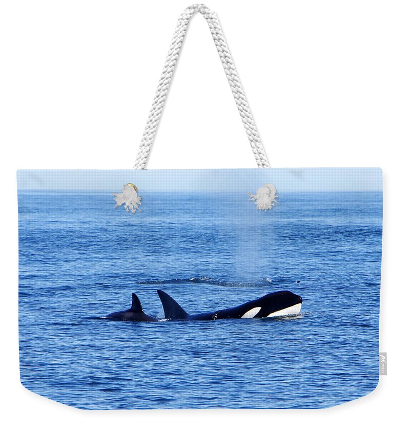 Orca Whales Weekender Tote Bag featuring the photograph In the Great Wide Ocean by Marilyn Wilson