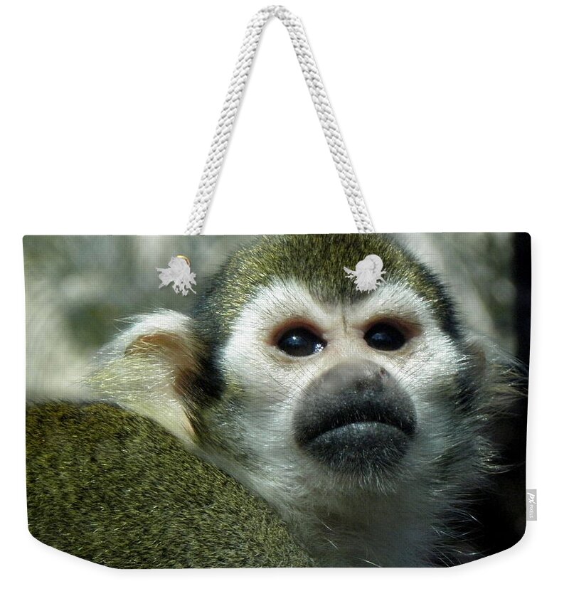 Monkey Weekender Tote Bag featuring the photograph In Thought by Kim Galluzzo Wozniak