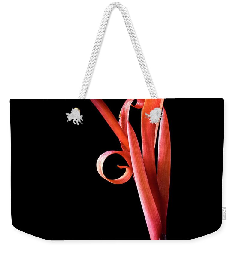 Flower Weekender Tote Bag featuring the photograph Indian Shot by Endre Balogh