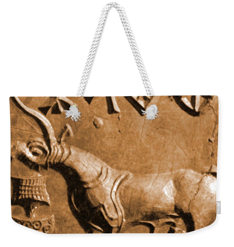 Historic Weekender Tote Bag featuring the photograph Indus Valley Unicorn Relief by Science Source