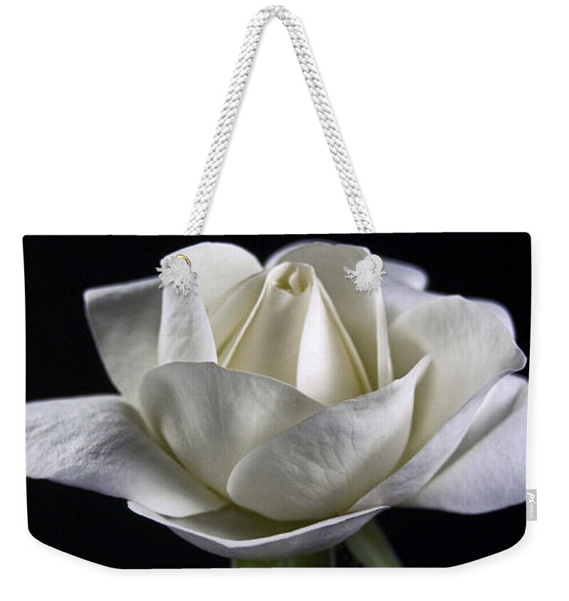 White Rose Weekender Tote Bag featuring the photograph Innocence by Elsa Santoro