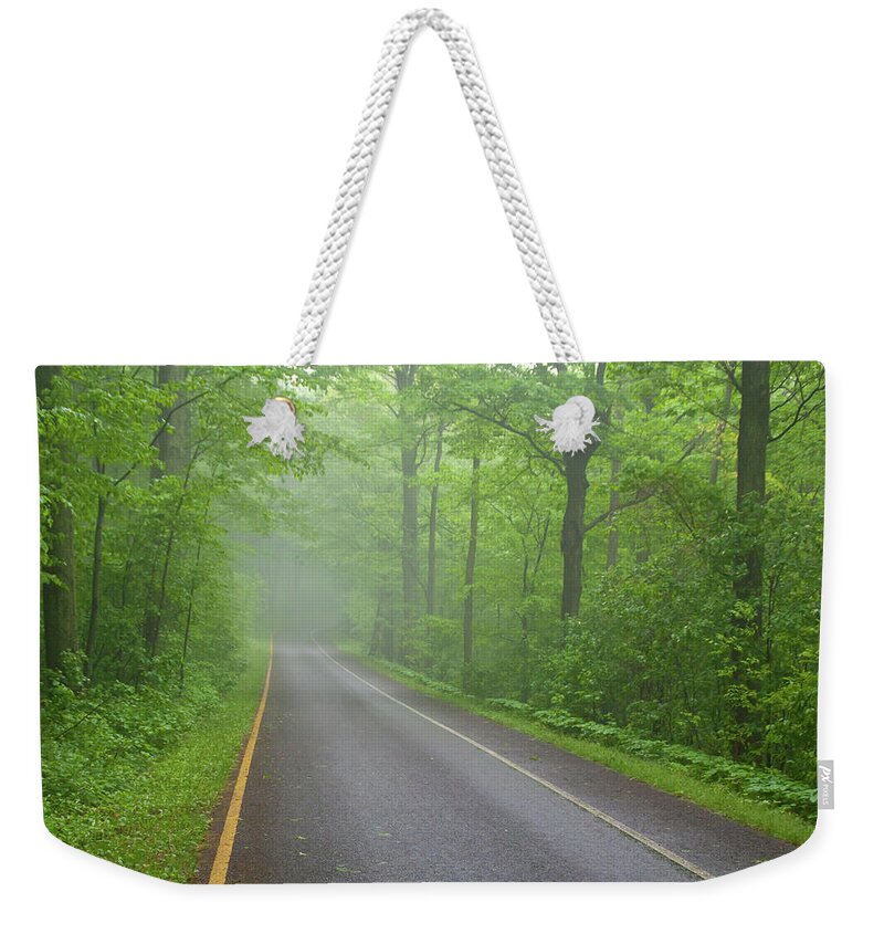 Forest Weekender Tote Bag featuring the photograph Into the Haze by Guy Whiteley
