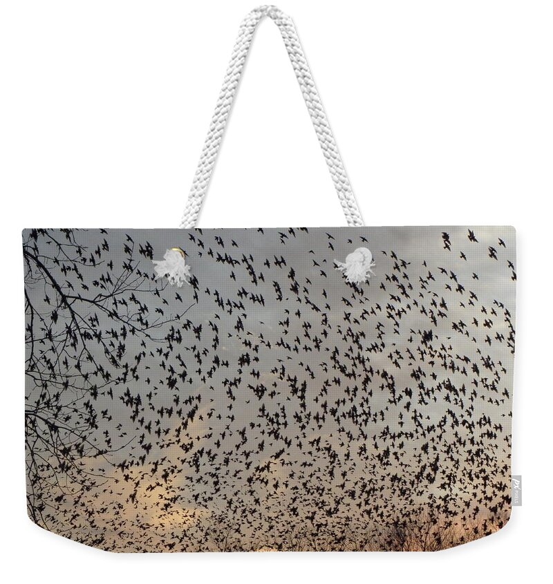 Starlings Weekender Tote Bag featuring the photograph Invasion Of The Birds by Kim Galluzzo