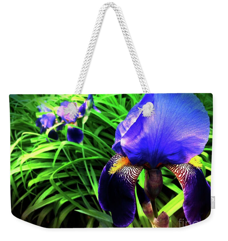 Iris Weekender Tote Bag featuring the photograph Iris by Kevyn Bashore