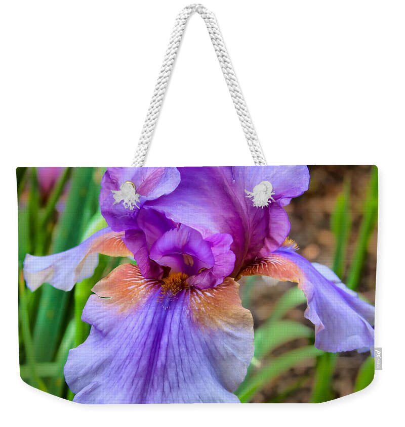 Nature Weekender Tote Bag featuring the photograph Iris by Lynne Jenkins