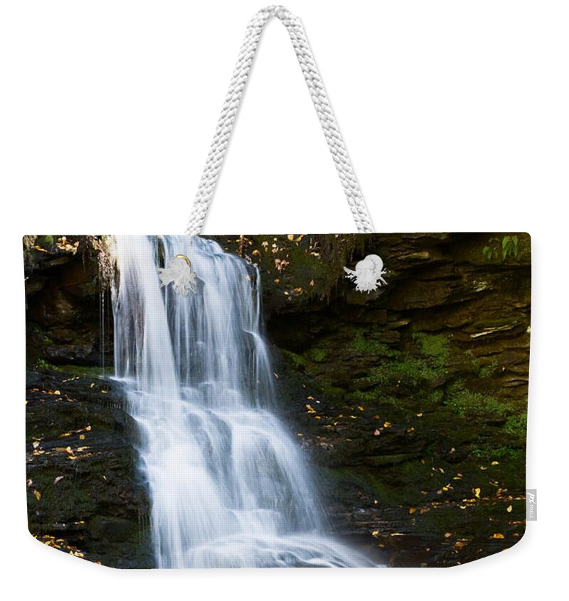 Pennsylvania Weekender Tote Bag featuring the photograph Is it Cottonwood by Ronald Lutz