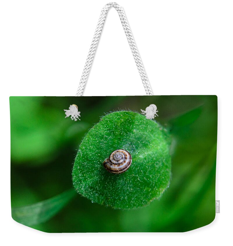 Abstract Weekender Tote Bag featuring the photograph Islet by Michael Goyberg