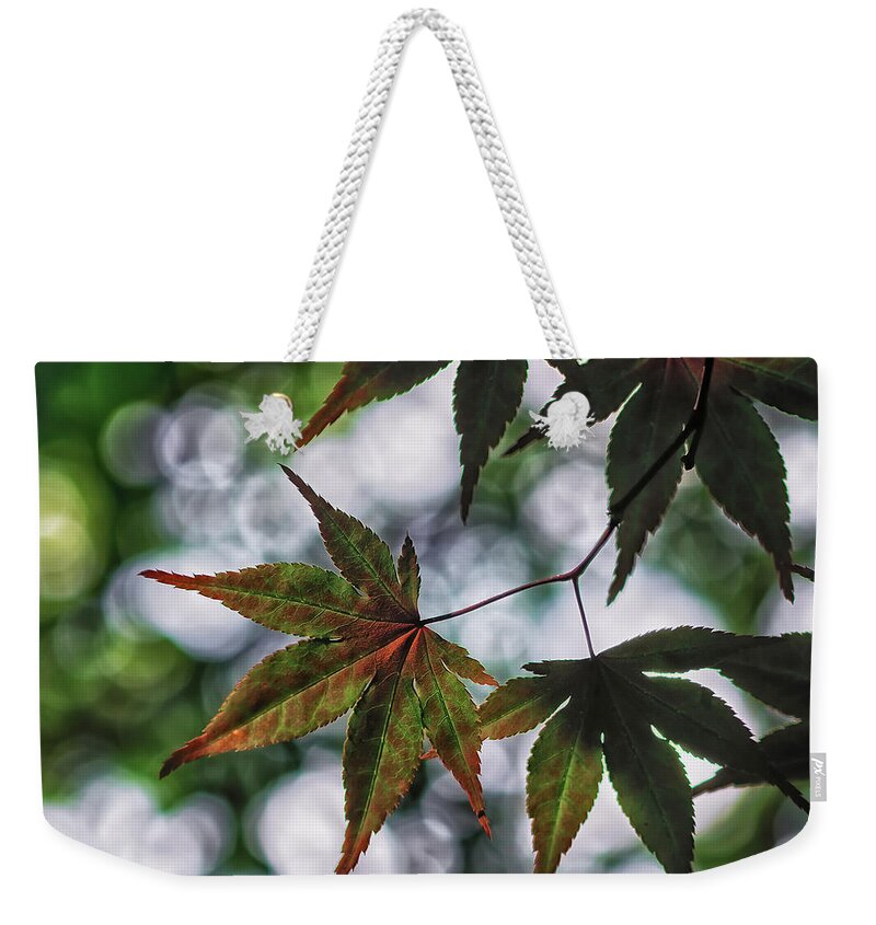 Da*55 1.4 Weekender Tote Bag featuring the photograph Japanese Maple by Lori Coleman