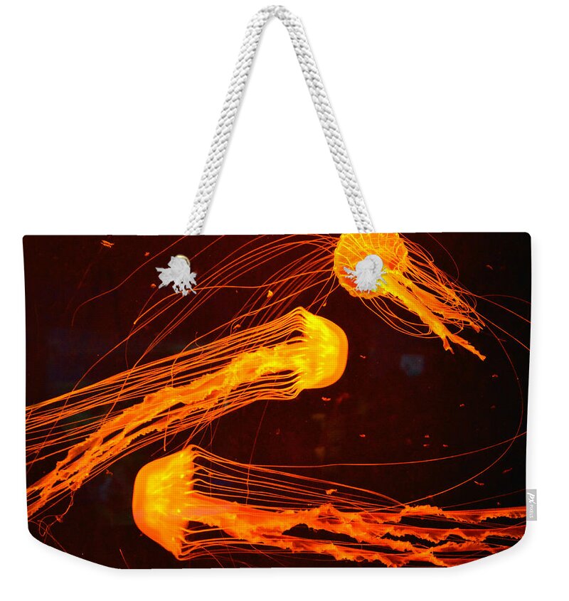 Jellyfish Weekender Tote Bag featuring the photograph Jellyfish Abstract by Sandi OReilly